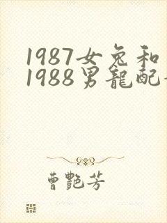 1987女兔和1988男龙配婚姻好不好