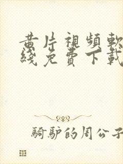 黄片视频软件在线免费下载封面