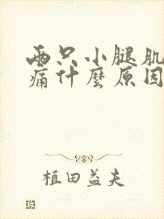 两只小腿肌肉酸痛什么原因封面