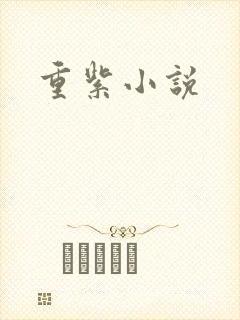 重紫小说封面