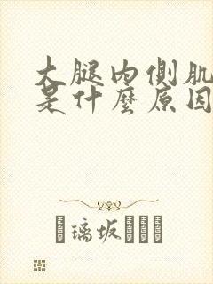 大腿内侧肌肉痛是什么原因引起的