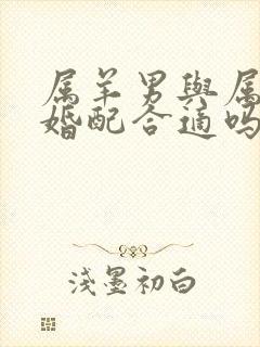 属羊男与属虎女婚配合适吗