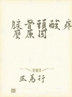 腚骨头酸疼是什么原因封面