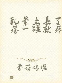 乳晕上长了个疙瘩一碰就疼怎么回事