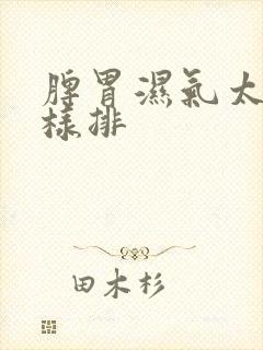 脾胃湿气太重怎样排