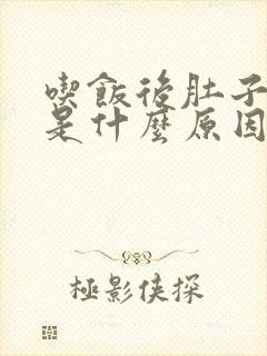 吃饭后肚子胀疼是什么原因