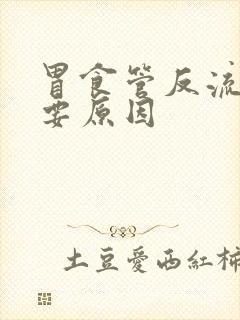 胃食管反流的主要原因