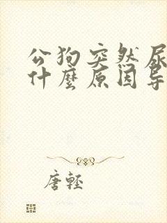 公狗突然尿血是什么原因导致的