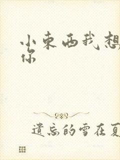 小东西我想弄坏你