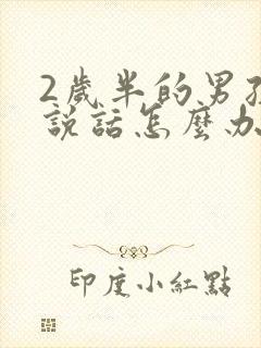 2岁半的男孩不说话怎么办