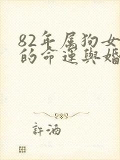 82年属狗女人的命运与婚姻