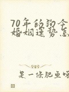 70年的狗今年婚姻运势怎样封面