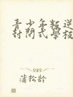 青少年叛逆正规封闭式学校封面