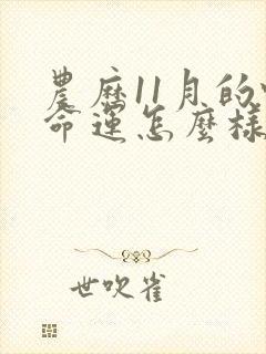 农历11月的蛇命运怎么样