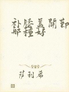 补膝盖关节氨糖哪种好