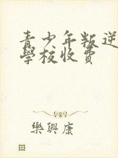 青少年叛逆特训学校收费