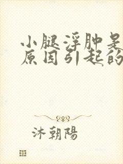 小腿浮肿是什么原因引起的 老人 男人封面