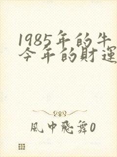 1985年的牛今年的财运怎么样