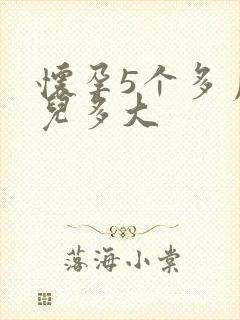 怀孕5个多月胎儿多大