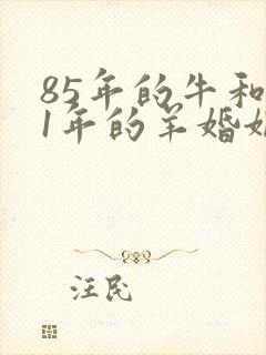 85年的牛和91年的羊婚姻怎么样