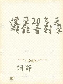 怀孕20多天b超能看到孕囊吗