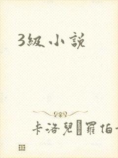 3级小说