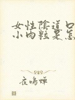 女性阴道口内有小肉粒是怎么回事