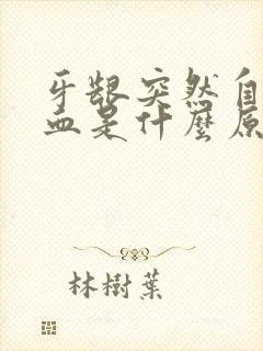 牙龈突然自己出血是什么原因