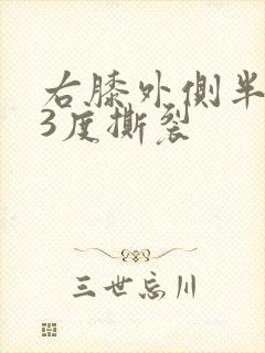 右膝外侧半月板3度撕裂封面