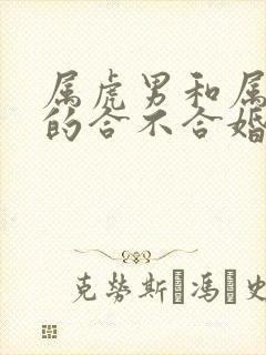 属虎男和属猪女的合不合婚封面