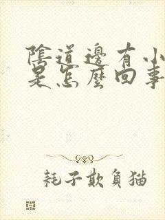 阴道边有小疙瘩是怎么回事