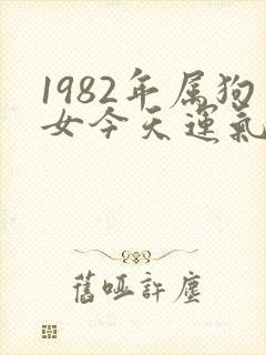 1982年属狗女今天运气怎么样