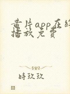 黄片app在线播放免费