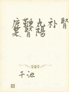 鹿鞭丸补肾阴还是肾阳