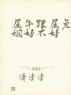 属牛跟属兔的婚姻好不好封面