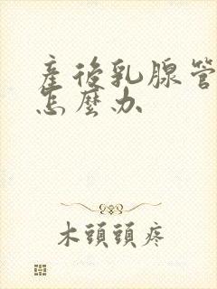 产后乳腺管堵塞怎么办