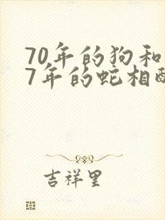 70年的狗和77年的蛇相配吗