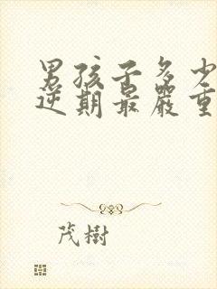 男孩子多少岁叛逆期最严重