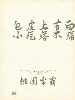 包皮上有白色的小疙瘩不痛不痒封面