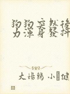 狗狗突然后腿无力浑身发抖封面