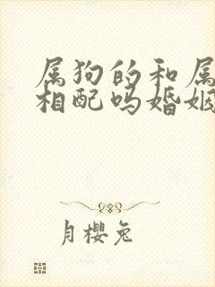 属狗的和属羊的相配吗婚姻