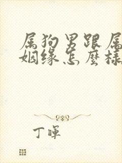 属狗男跟属兔女姻缘怎么样封面