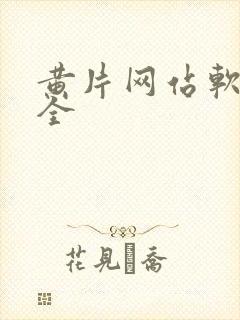 黄片网站软件大全