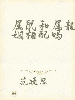 属鼠和属龙的婚姻相配吗封面