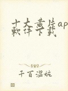 十大黄片app软件下载封面