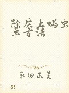 除床上螨虫的简单方法