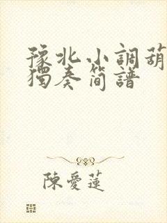 豫北小调葫芦丝独奏简谱封面