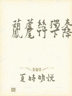 葫芦丝独奏相约凤尾竹下降b调