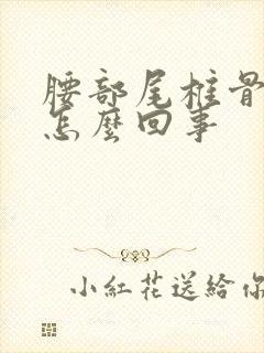 腰部尾椎骨疼是怎么回事