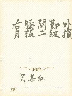 右膝关节外侧半月板二级损伤